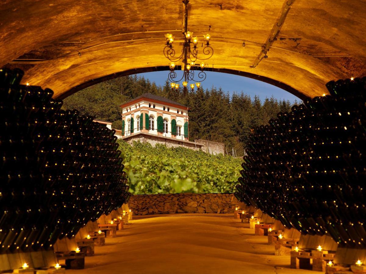 Weinromantikhotel Richtershof مولهايم ان دور موسيل المظهر الخارجي الصورة