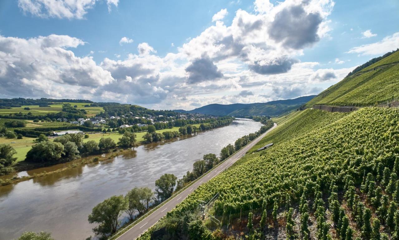 Weinromantikhotel Richtershof مولهايم ان دور موسيل المظهر الخارجي الصورة